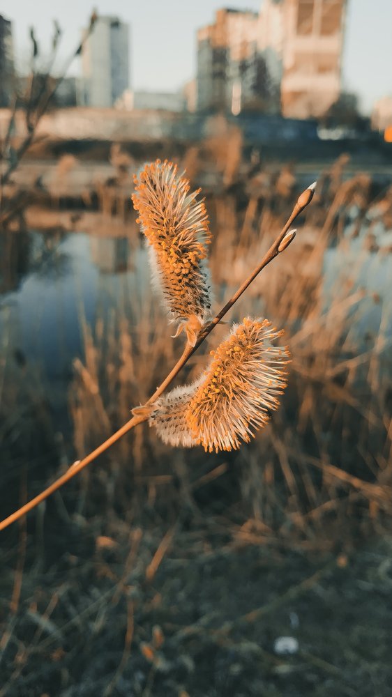 Photograph by Тория Швайнштайгер