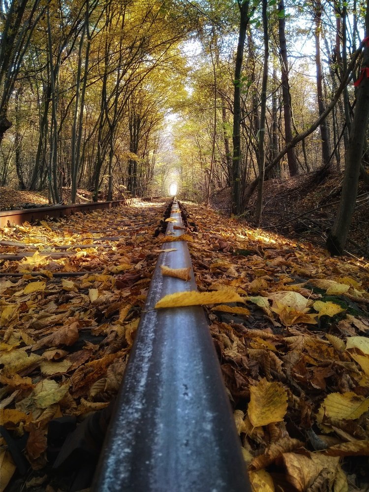 Tunnel of Love, Ukraine