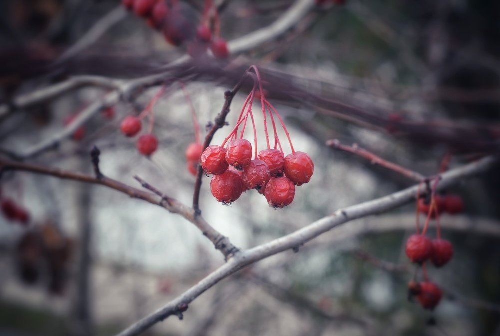 Photograph by Василий Фроленок