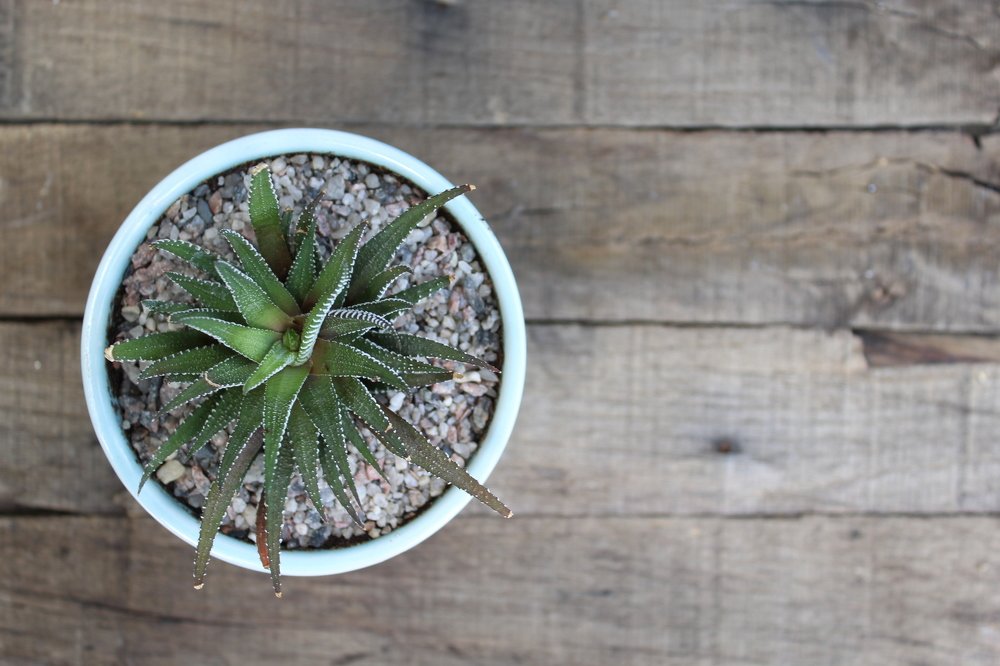 Photograph by Богдан Тарасов