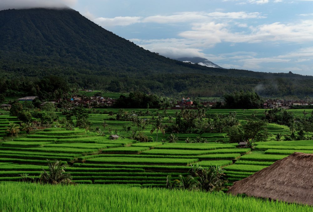 Photograph by Oleg Yakunin