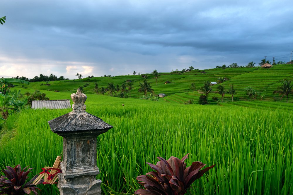 Photograph by Oleg Yakunin