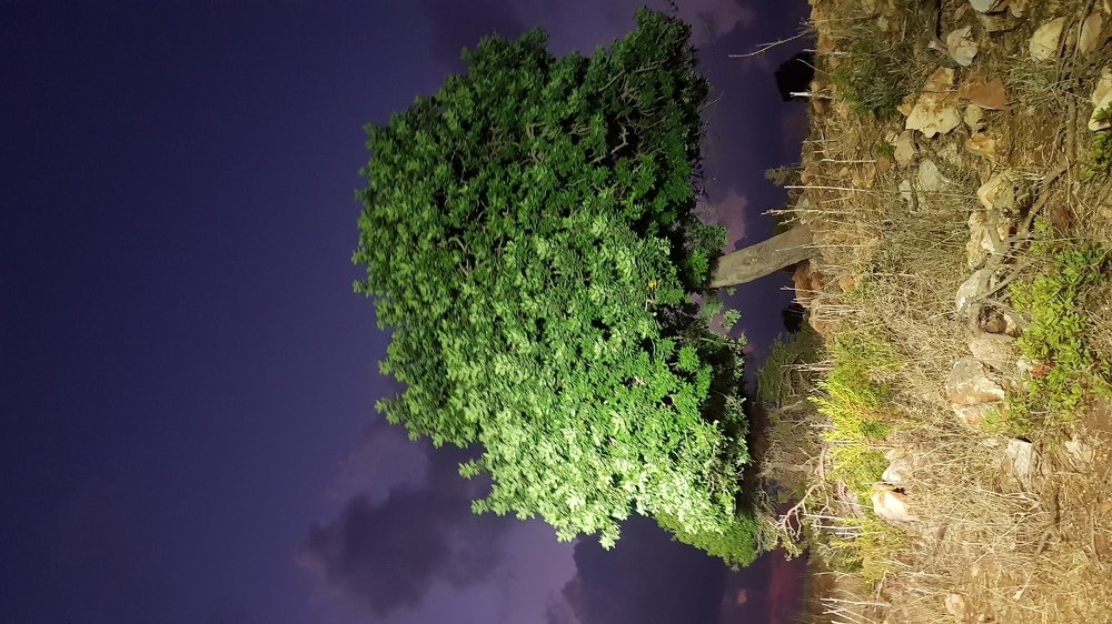 Photograph by Eli karasik