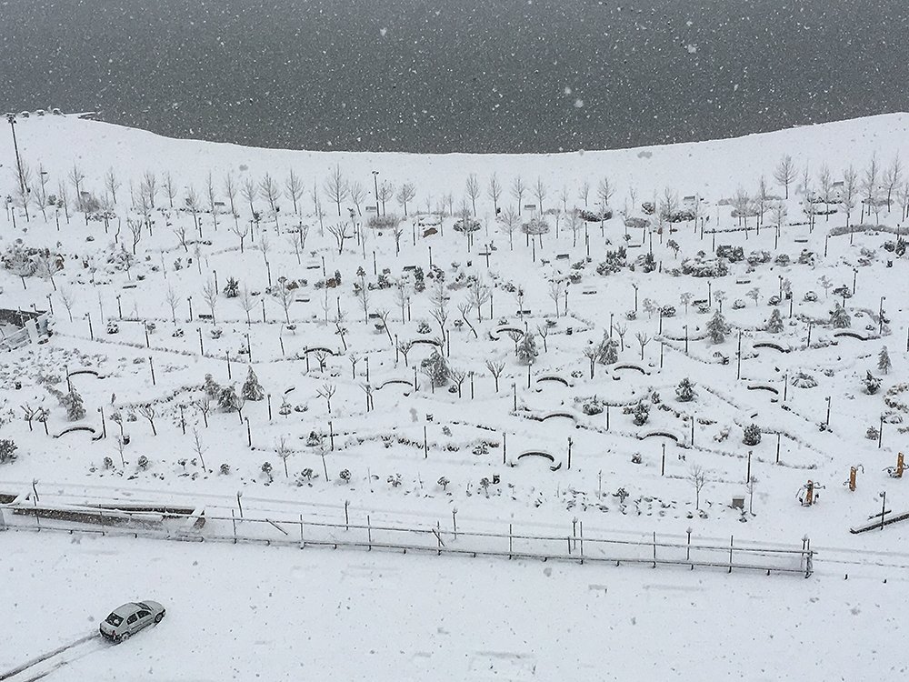 Photograph by Alireza Shahnazi