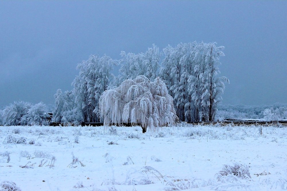 Зимняя сказка / Winter fairy tale
