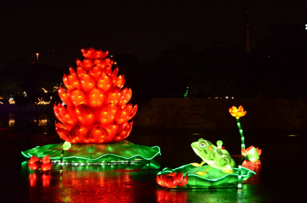 Фотография автора Muhammad Haris