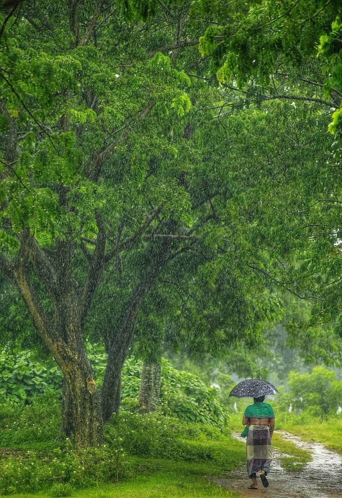 Photograph by kazi arifuzzaman