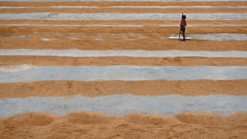 Photograph by kazi arifuzzaman