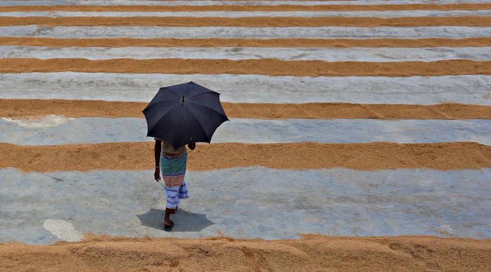 Photograph by kazi arifuzzaman