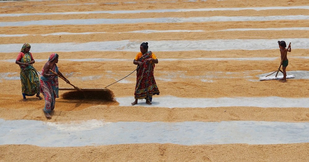 Photograph by kazi arifuzzaman