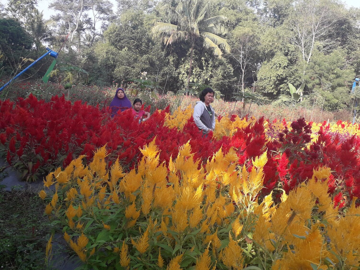 Photo #3770423