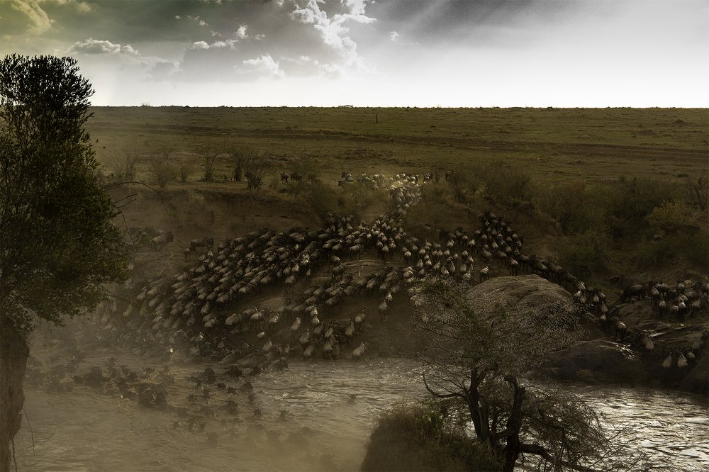 Photograph by Suresh Kumar Ramachandran