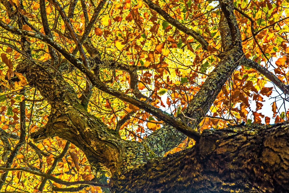 Photograph by Александр Халимов