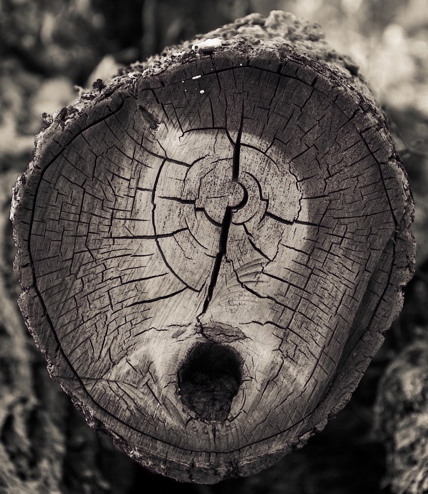 Photograph by Александр Халимов