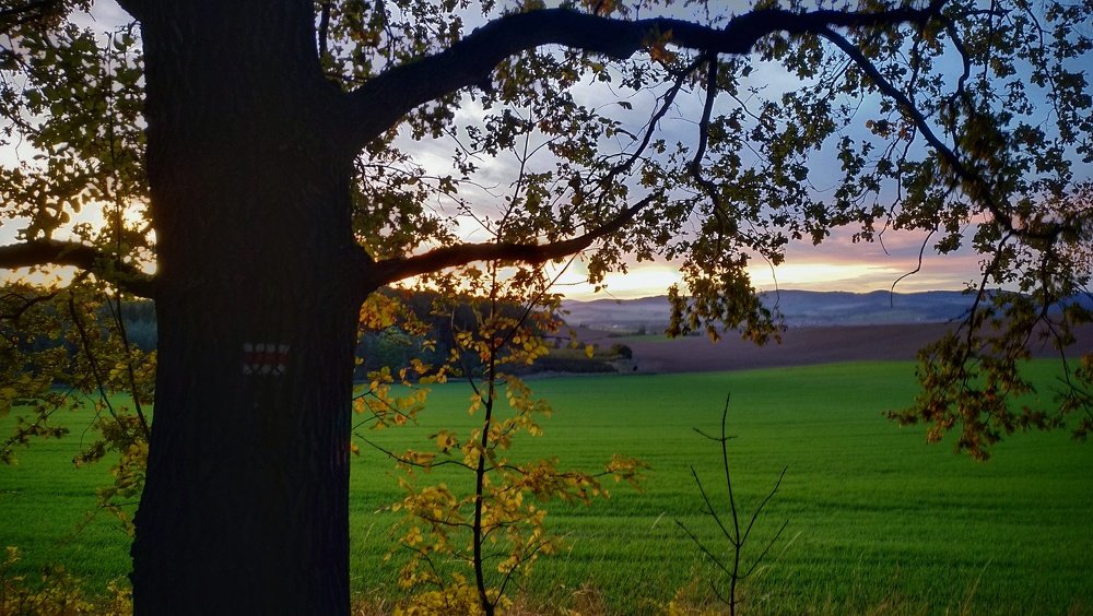 Photograph by Дмитрий Клименко