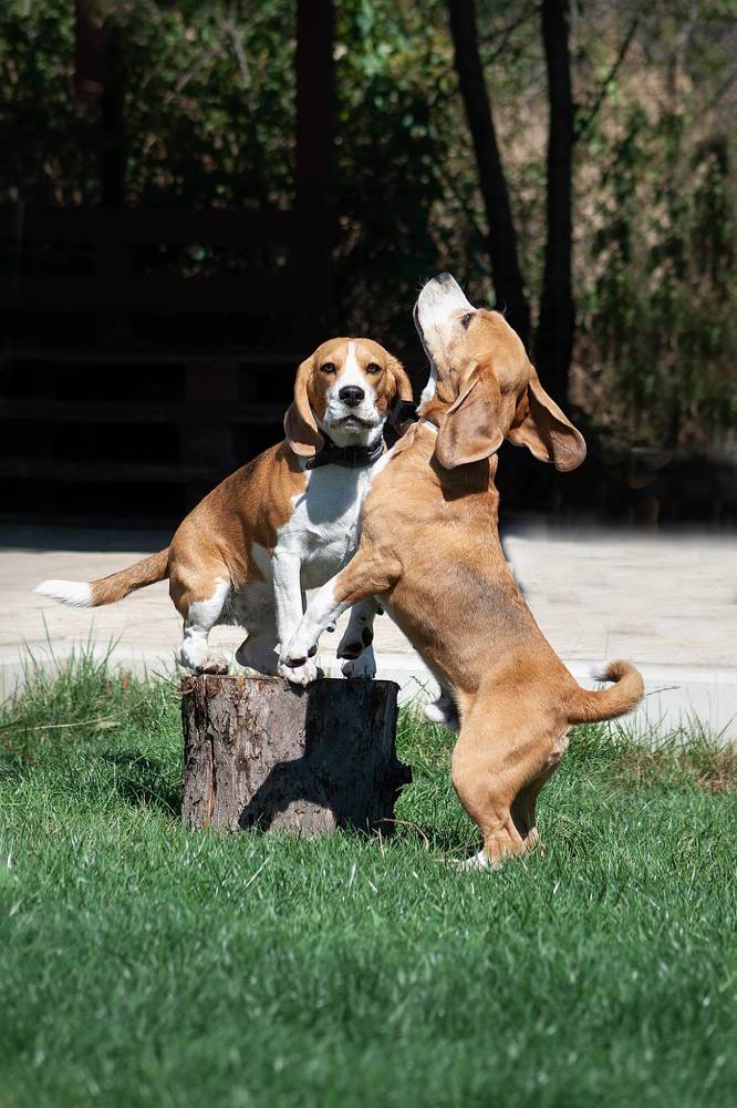 Photograph by Александра Калиниченко