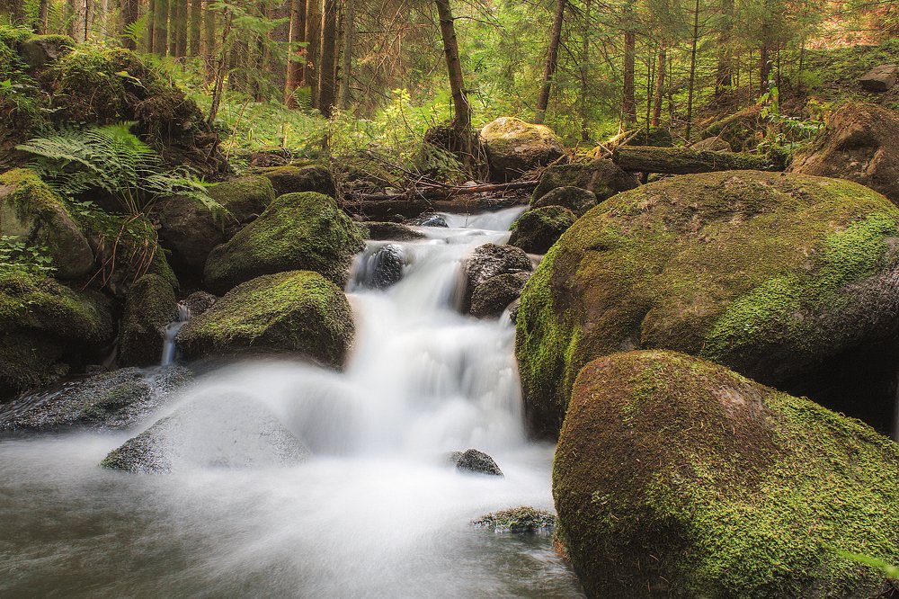 Stream on Harghita 3