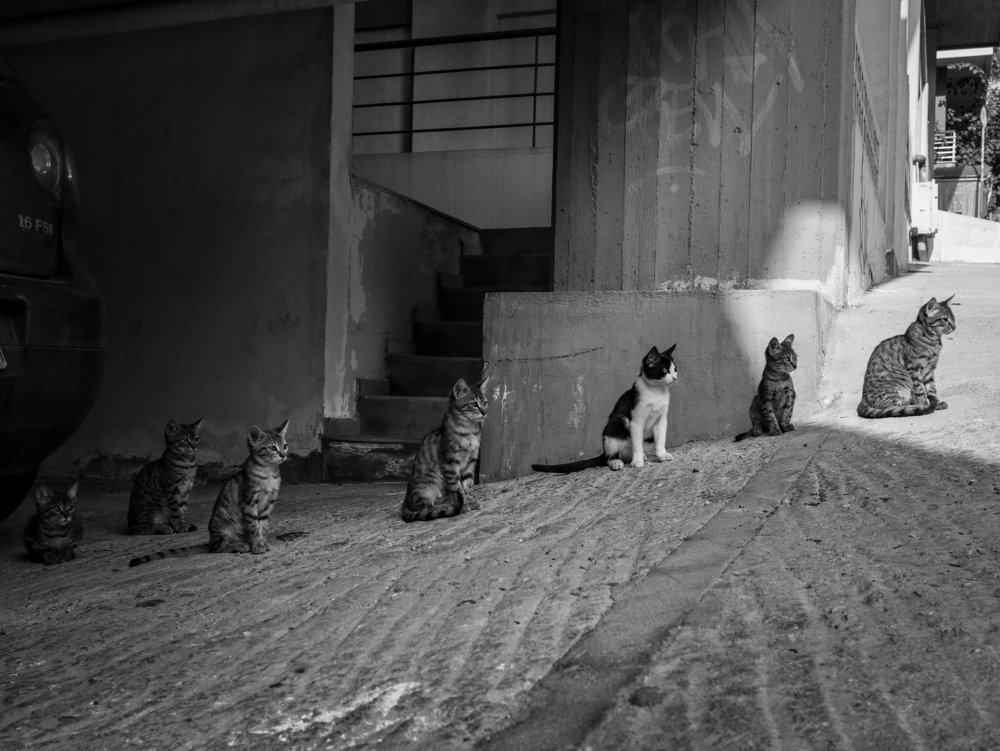 Photograph by Георгий Акопджанов