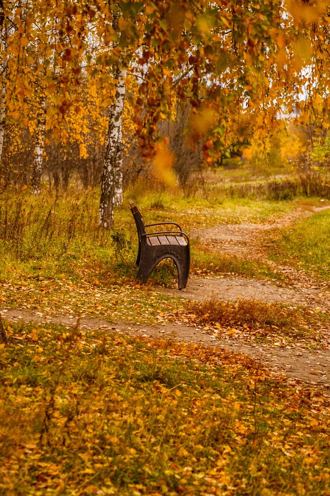Photograph by Alena Shkurlakova