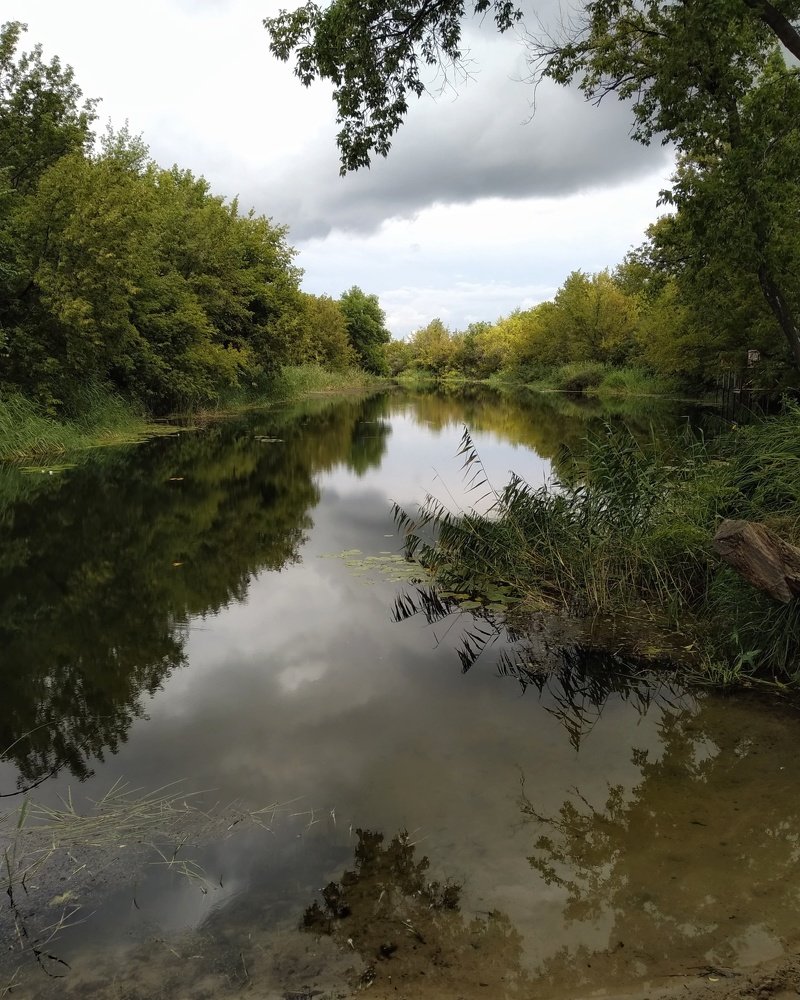 Photograph by Людмила М