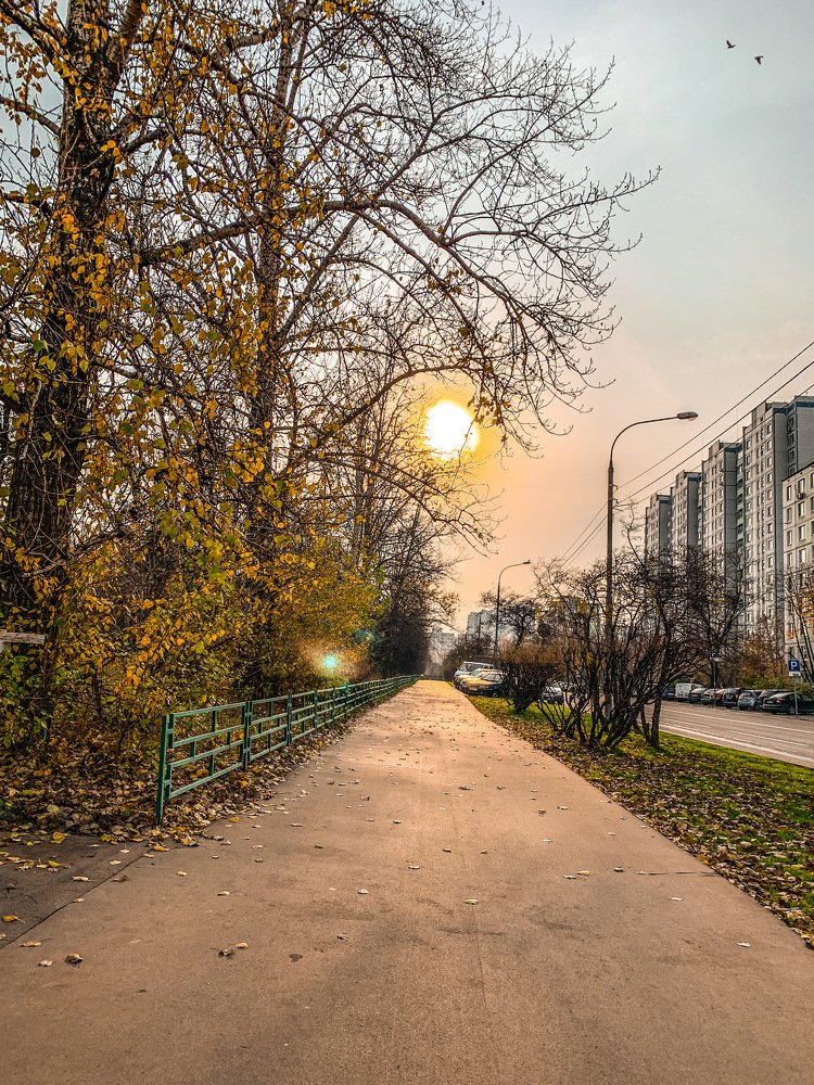 Photograph by Alena Shkurlakova