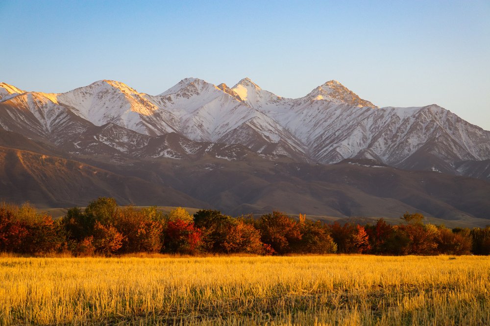 Photograph by Куба Тагайбеков