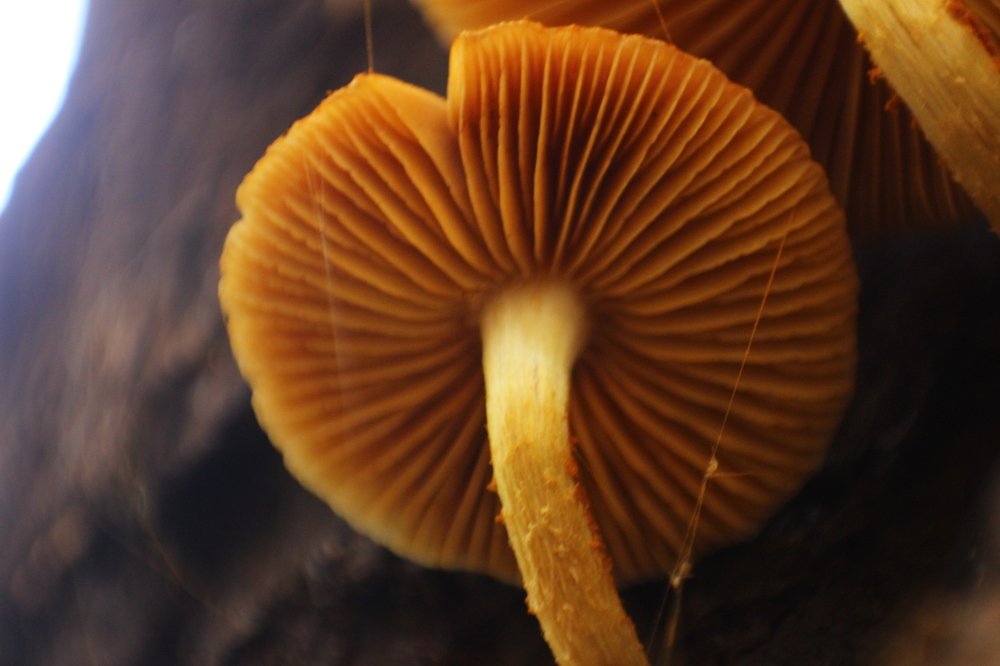 Photograph by Karthick.Selvaraj