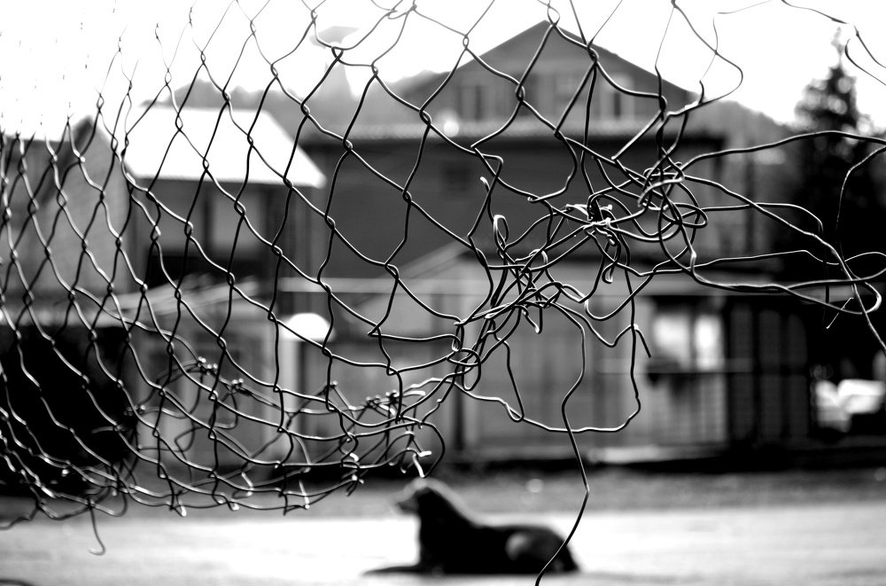 Photograph by Suncica Andrejevic