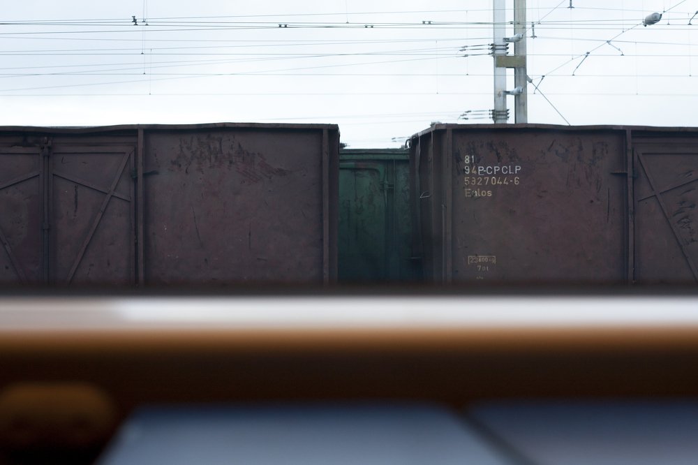 Photograph by Carlos Alberto Sequeira