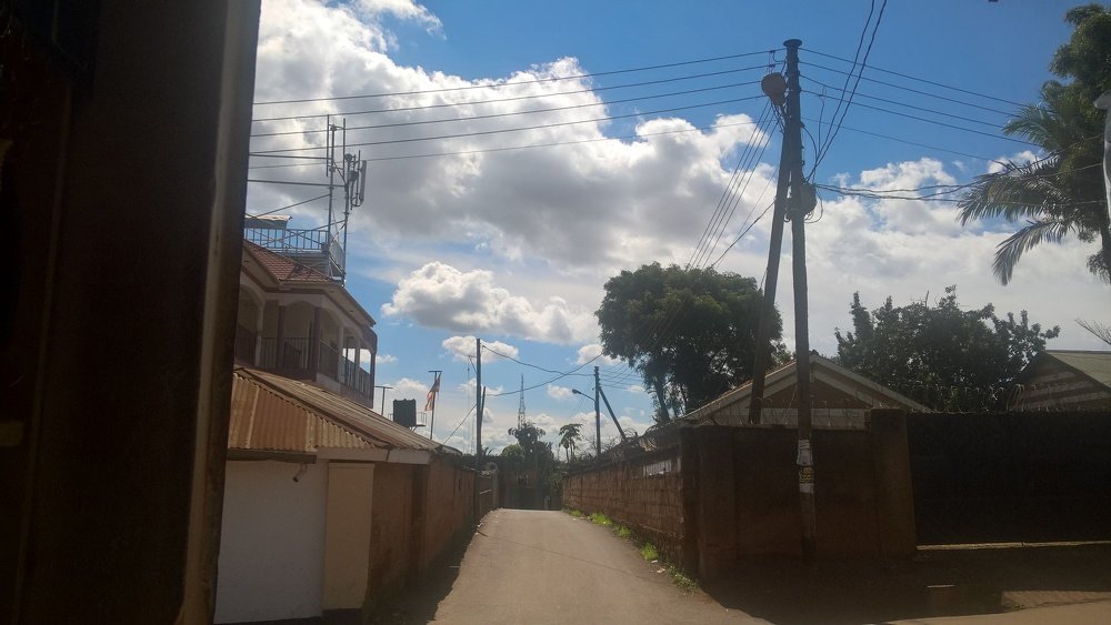 Фотография автора serubogo vicentes