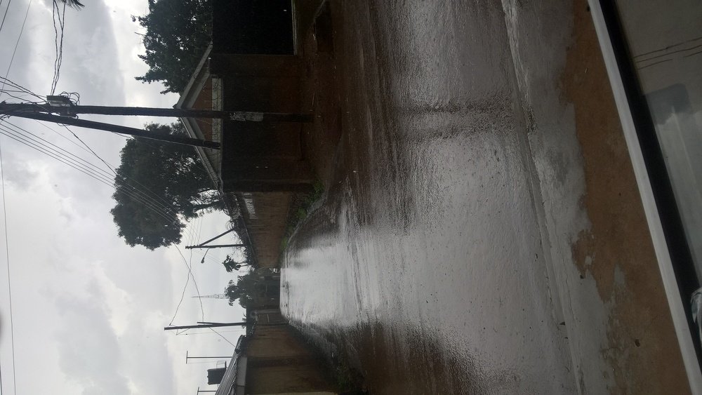 Фотография автора serubogo vicentes