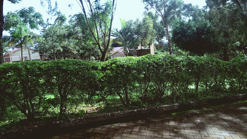 Фотография автора serubogo vicentes