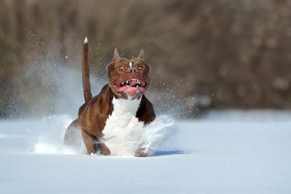 Photograph by Надежда Иванова