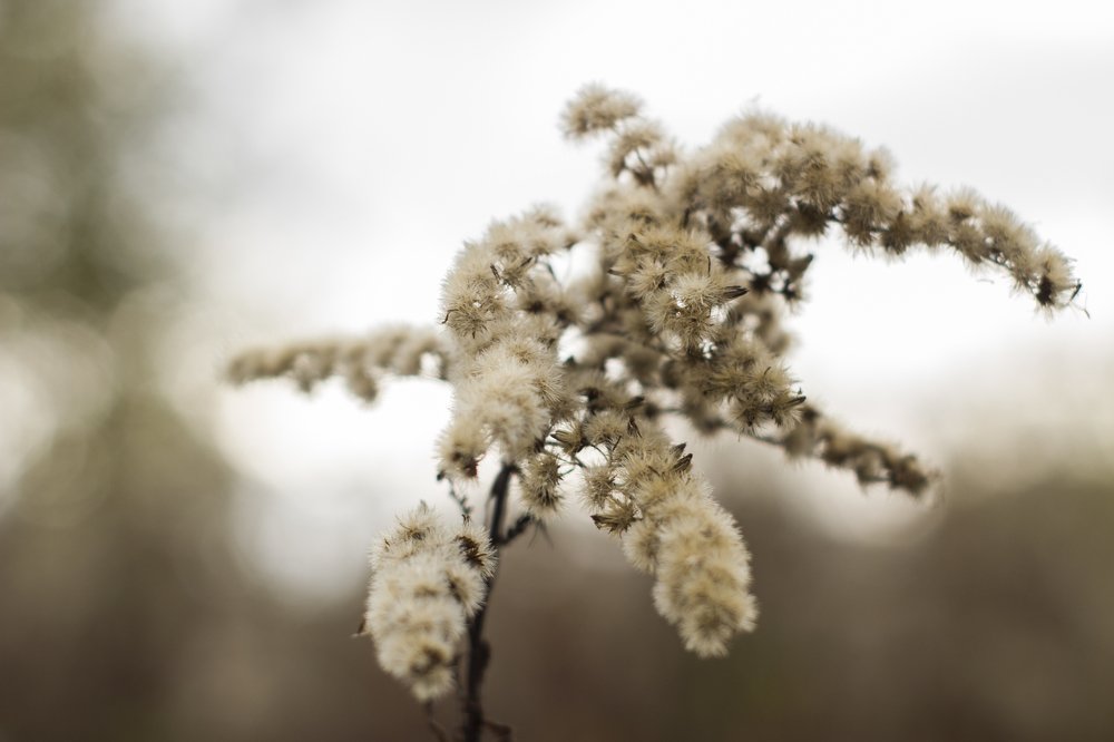 Photograph by Елизавета