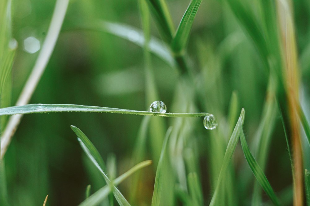 Фотография автора Summerlin