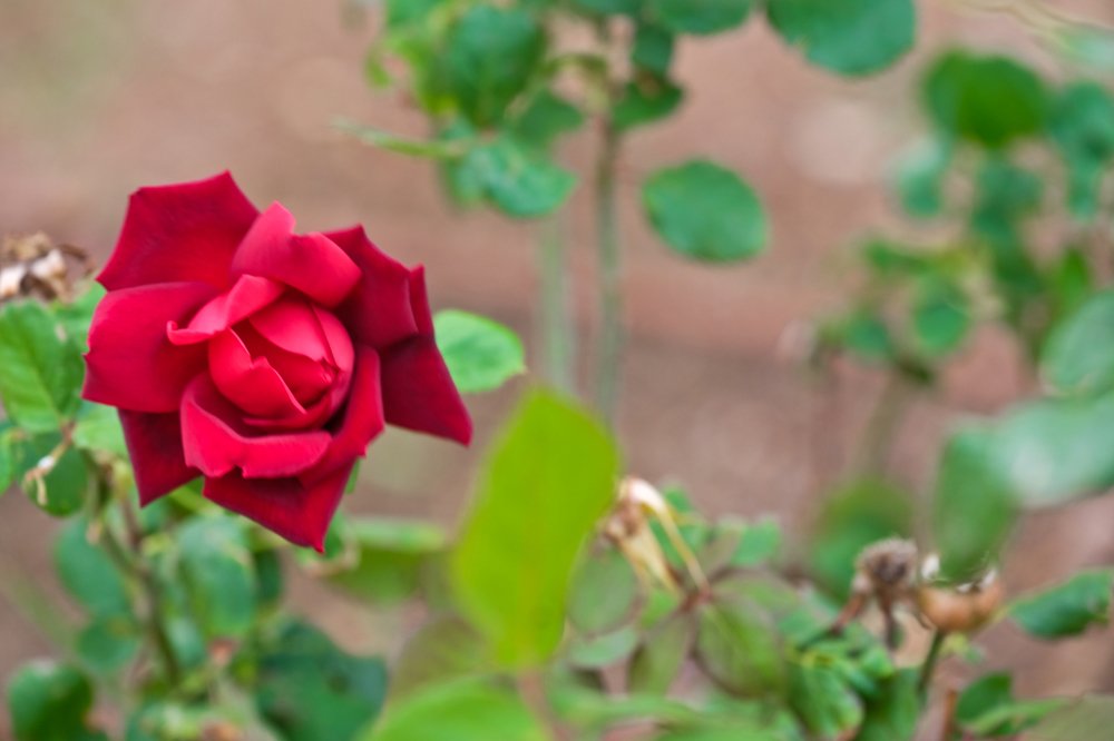 Фотография автора A.M. Photo