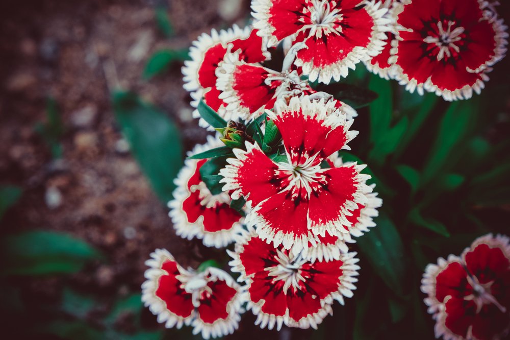 Фотография автора A.M. Photo