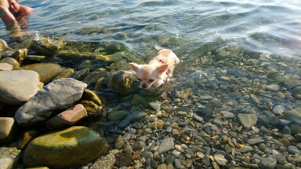 Photo #3771247