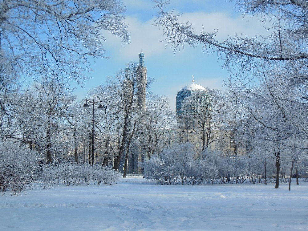 Photograph by Евгений Савулькин