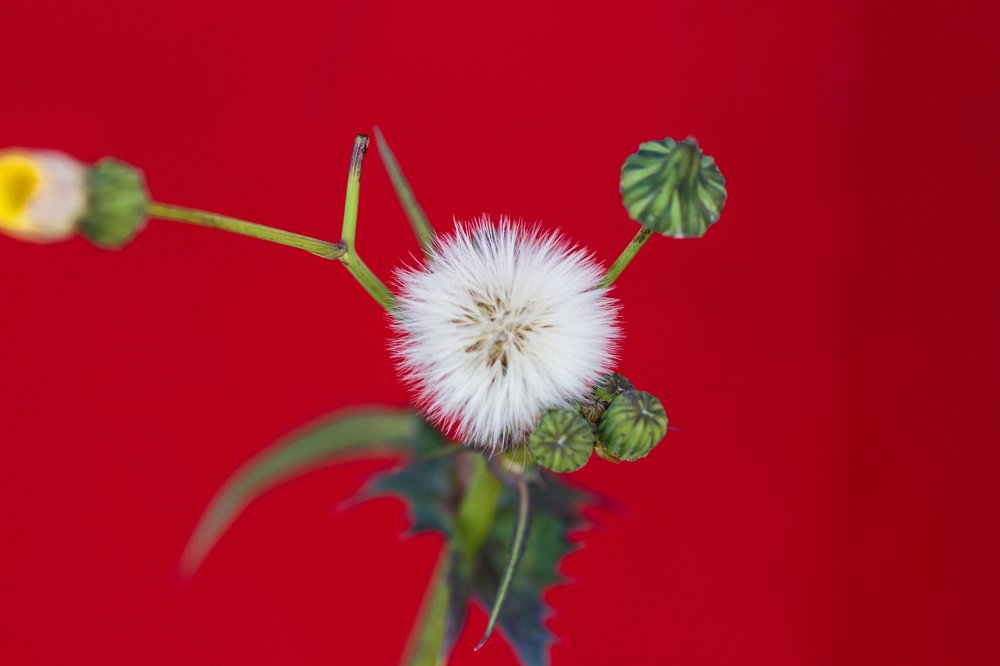 Photograph by Назим Оруджов