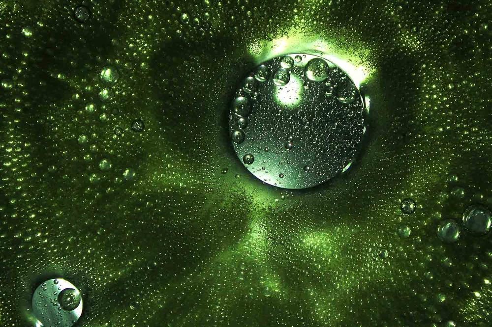 Photograph by  Mohammad Amini