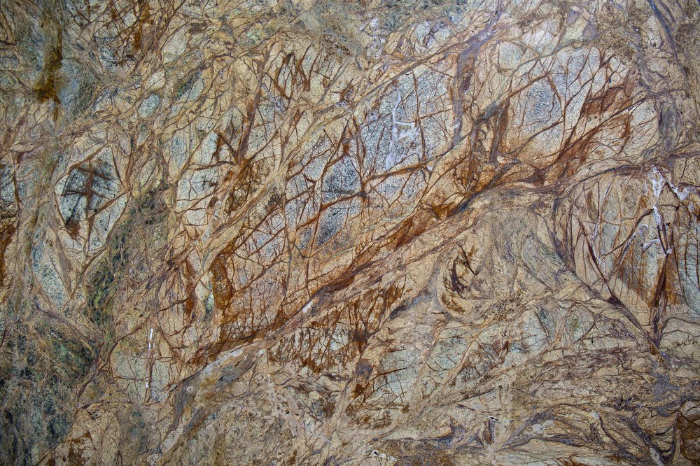 Photograph by Carmen Watkins