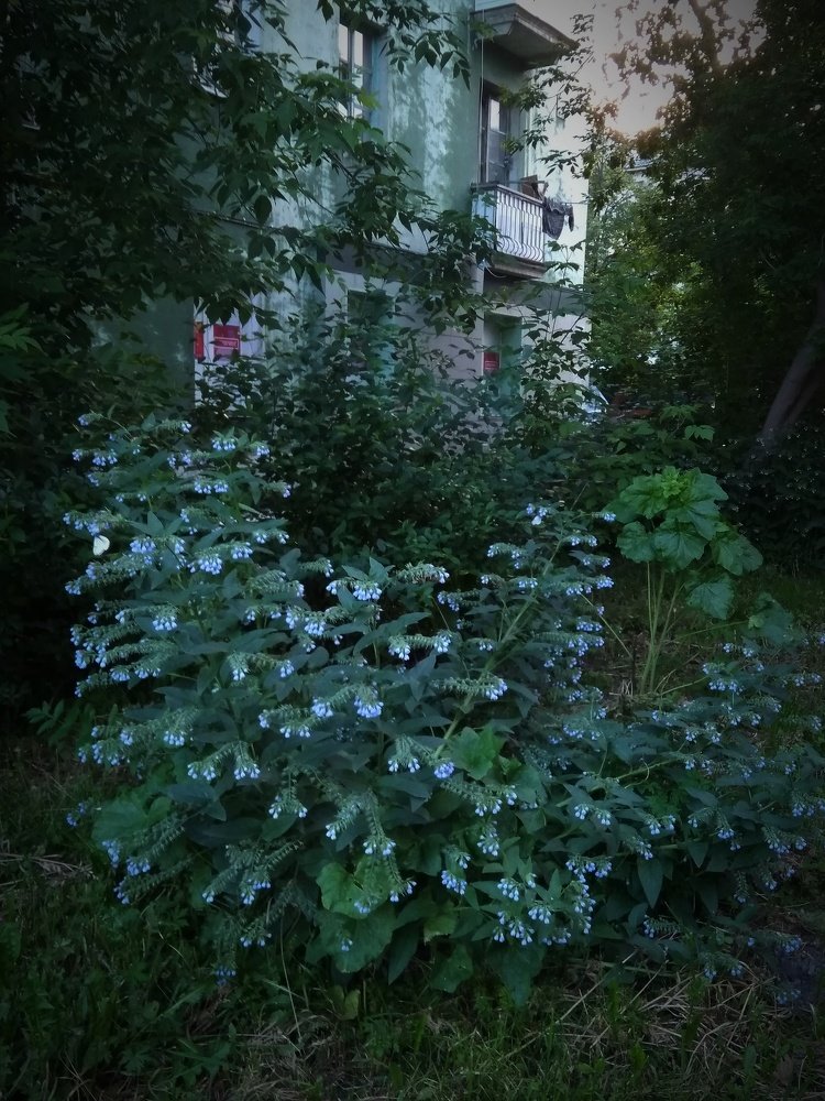 Фотография автора Мария