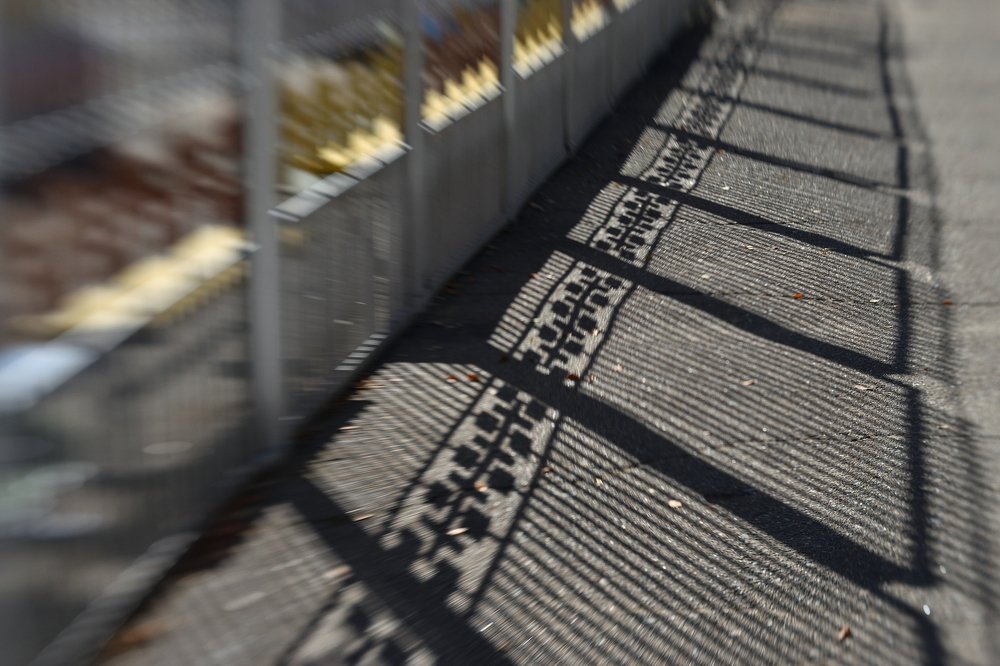 Photograph by Tatyana