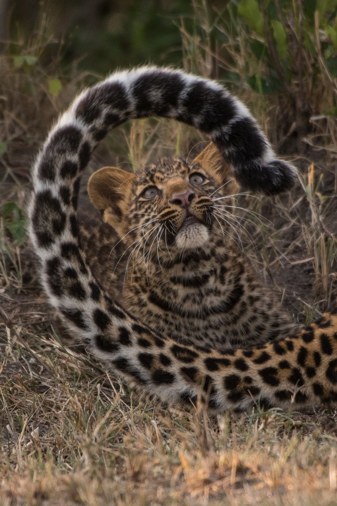 Photograph by Prasanth kumar nammalwar