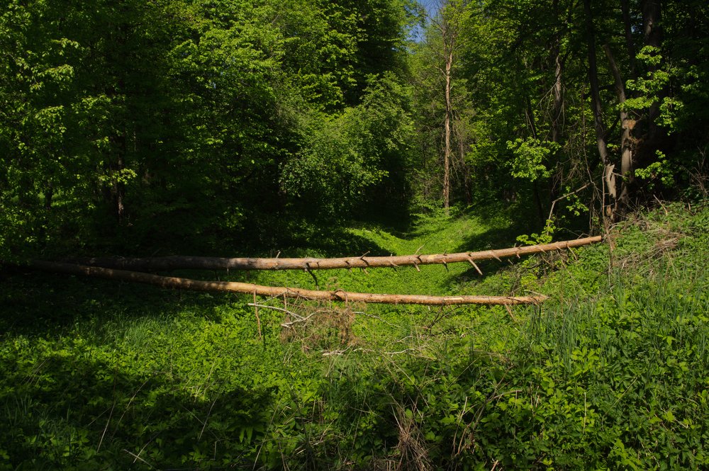 Фотография автора Александра