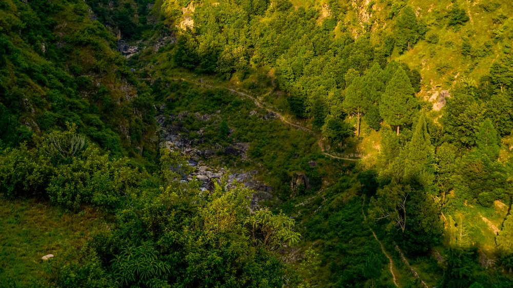 Фотография автора savitri Rawat