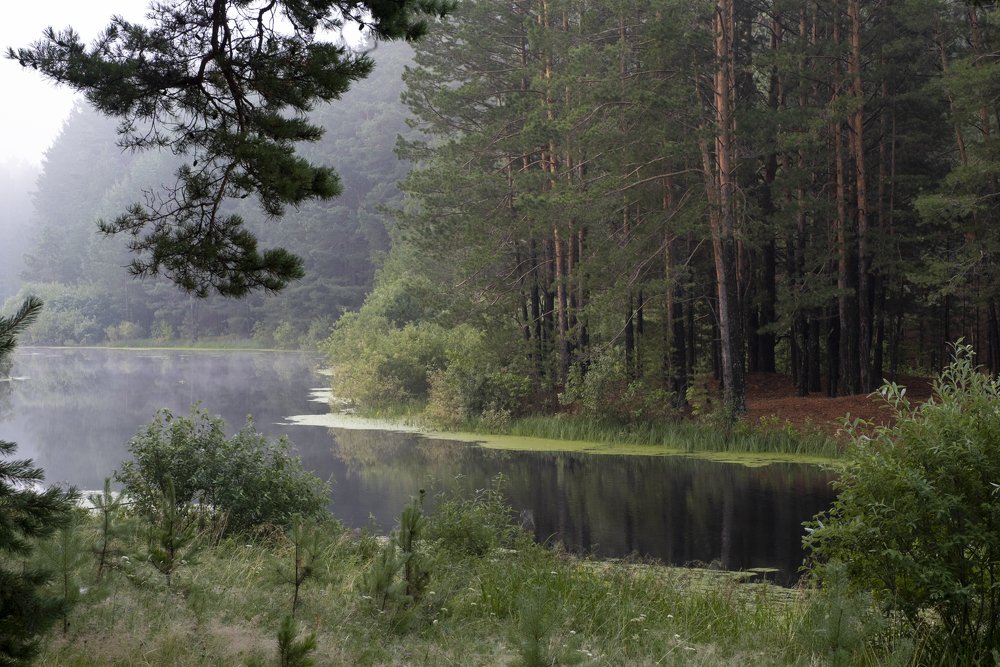 Photograph by Александр Гурьянов