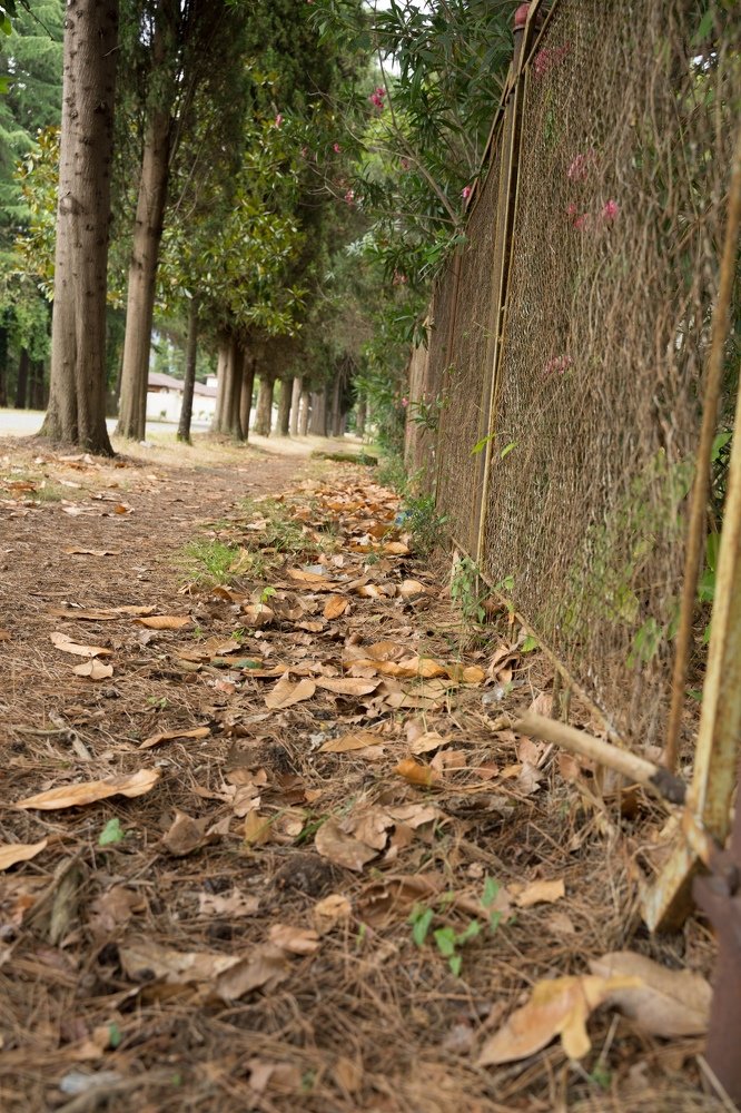 Фотография автора Марина Верина