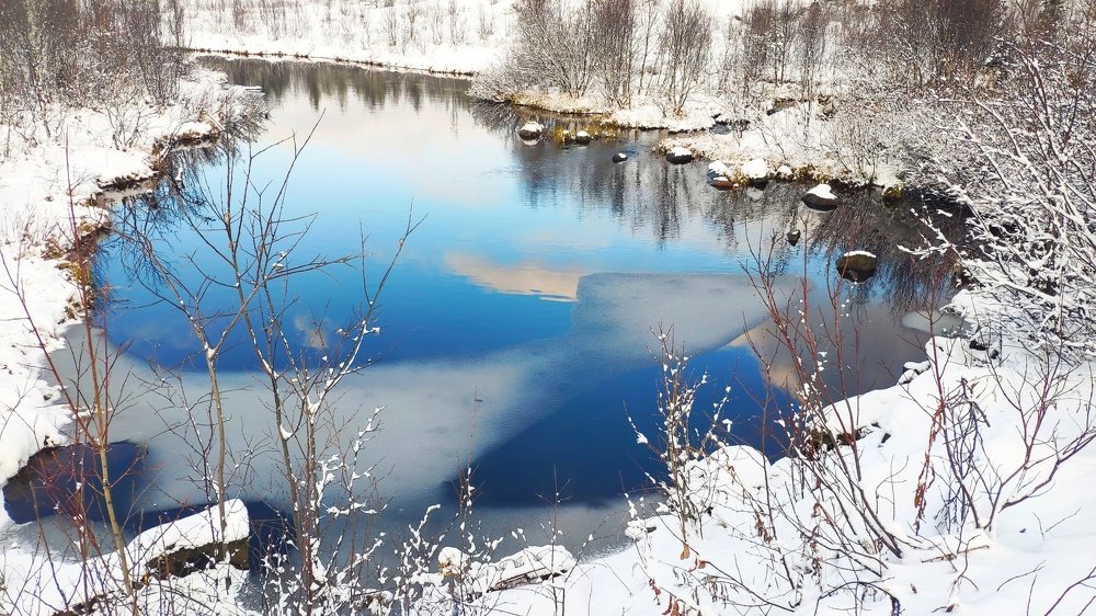 Краски Севера
